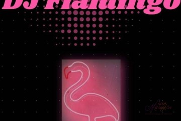 Sono Flamingo