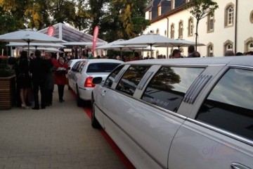 Black & White Limousines