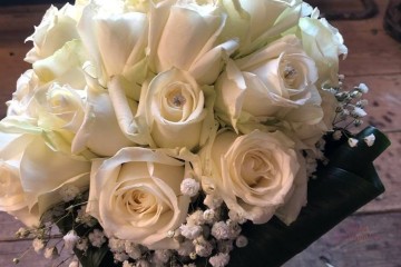 L'Hortensia