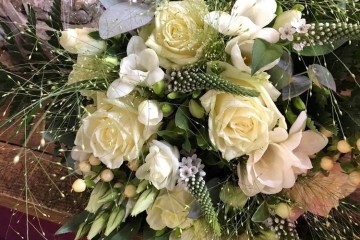 L'Hortensia