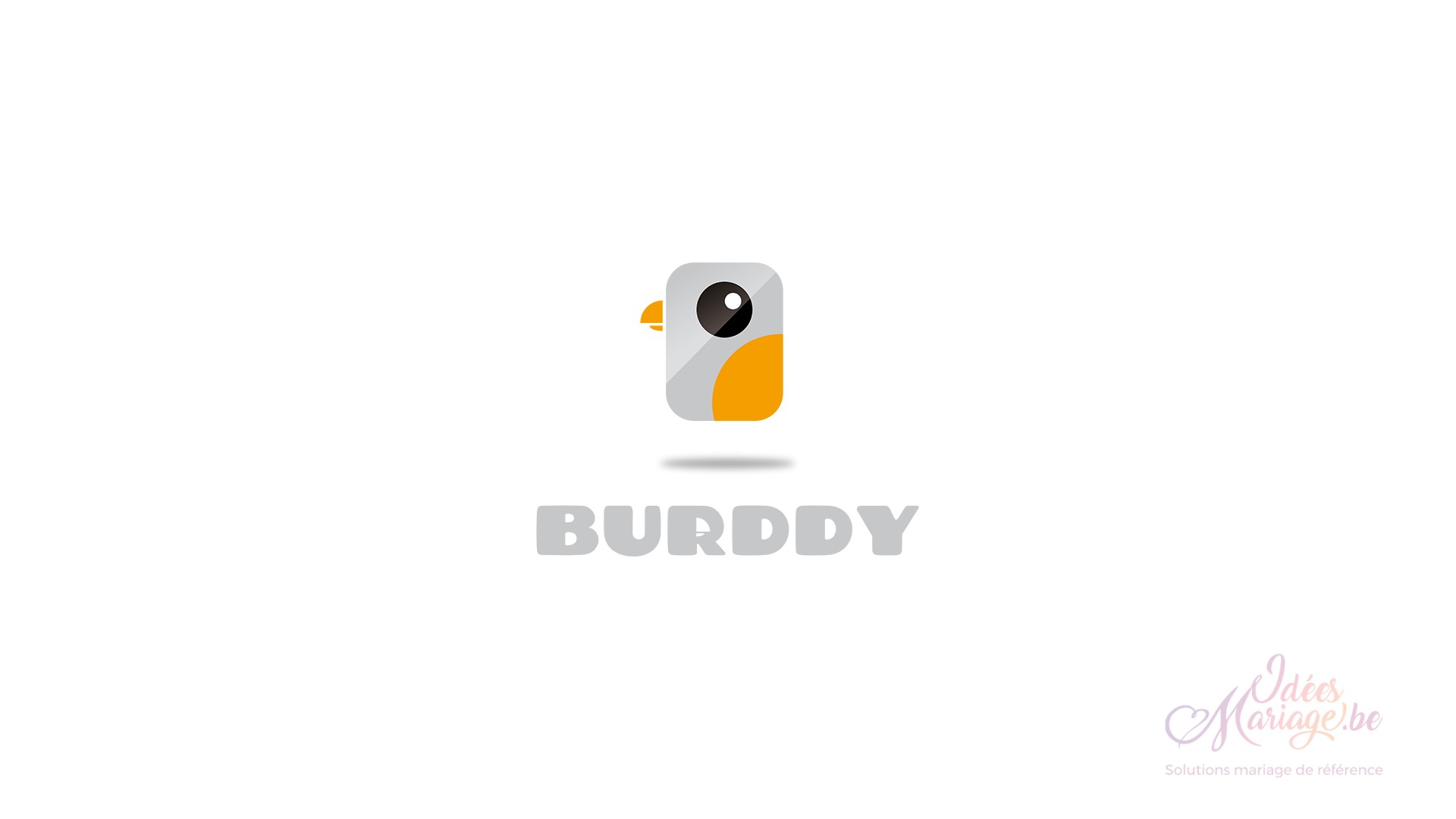 Burddy