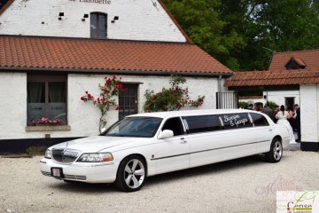 3D Limo