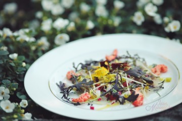 Artfood traiteur