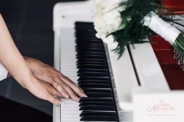MP Wedding Event