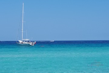 Martine Voyages