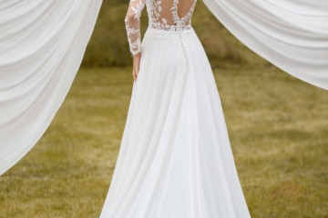 Orchidée Nuptiale