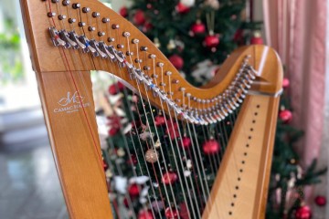In Concerto - Harpe & Musique