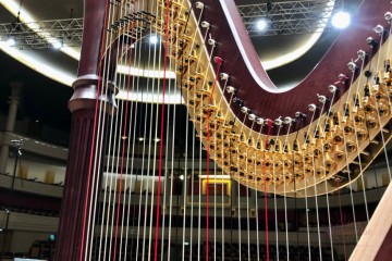 In Concerto - Harpe & Musique