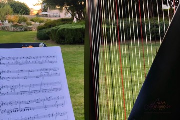In Concerto - Harpe & Musique