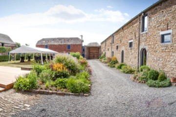 La ferme aux chiens