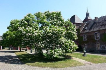 Le Château de Petit-Leez